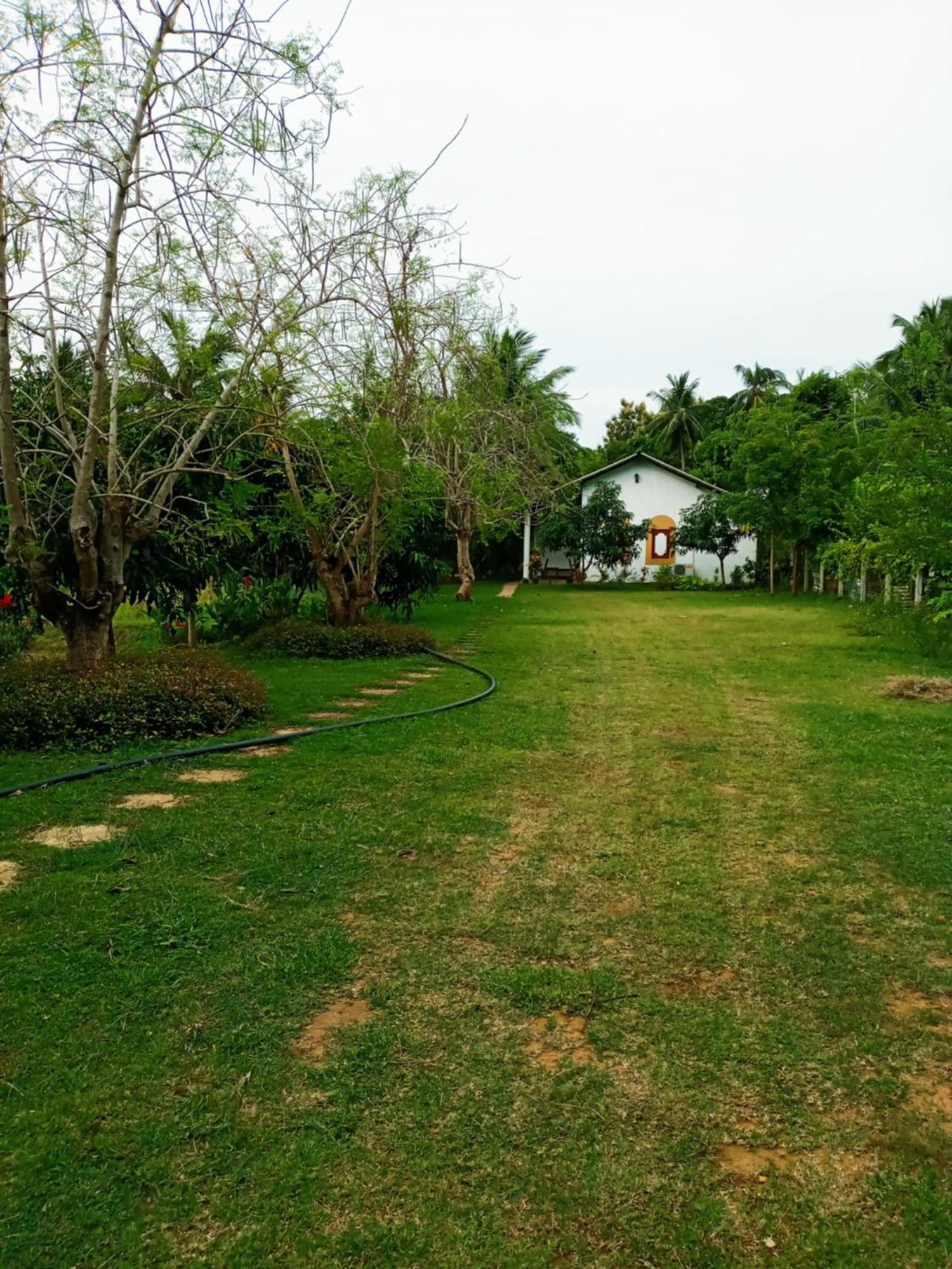 Hideaway Homestay Habarana Esterno foto