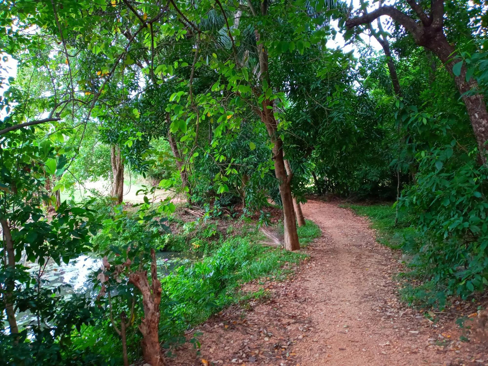 Hideaway Homestay Habarana Esterno foto