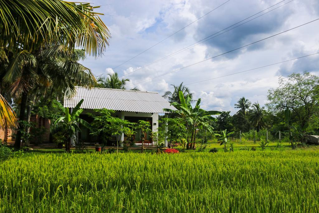 Hideaway Homestay Habarana Esterno foto