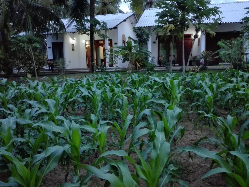 Hideaway Homestay Habarana Esterno foto